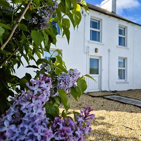 The Alpaca Farmhouse With Hot Tub And Alpaca Experience Included Dromara Buitenkant foto
