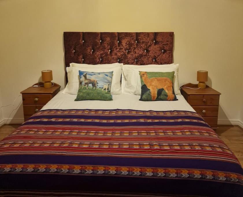 The Alpaca Farmhouse With Hot Tub And Alpaca Experience Included Dromara Buitenkant foto