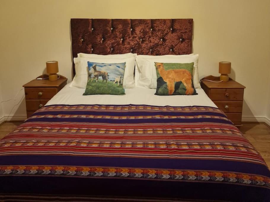 The Alpaca Farmhouse With Hot Tub And Alpaca Experience Included Dromara Buitenkant foto
