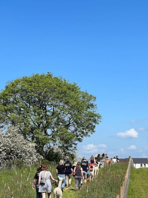 The Alpaca Farmhouse With Hot Tub And Alpaca Experience Included Dromara Buitenkant foto
