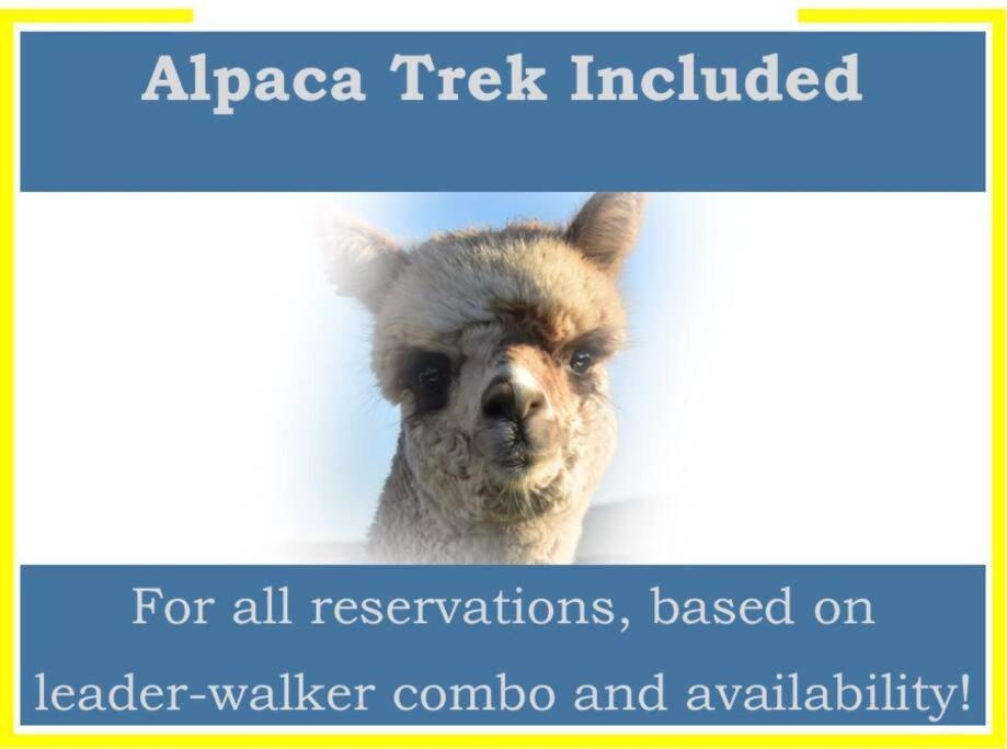 The Alpaca Farmhouse With Hot Tub And Alpaca Experience Included Dromara Buitenkant foto