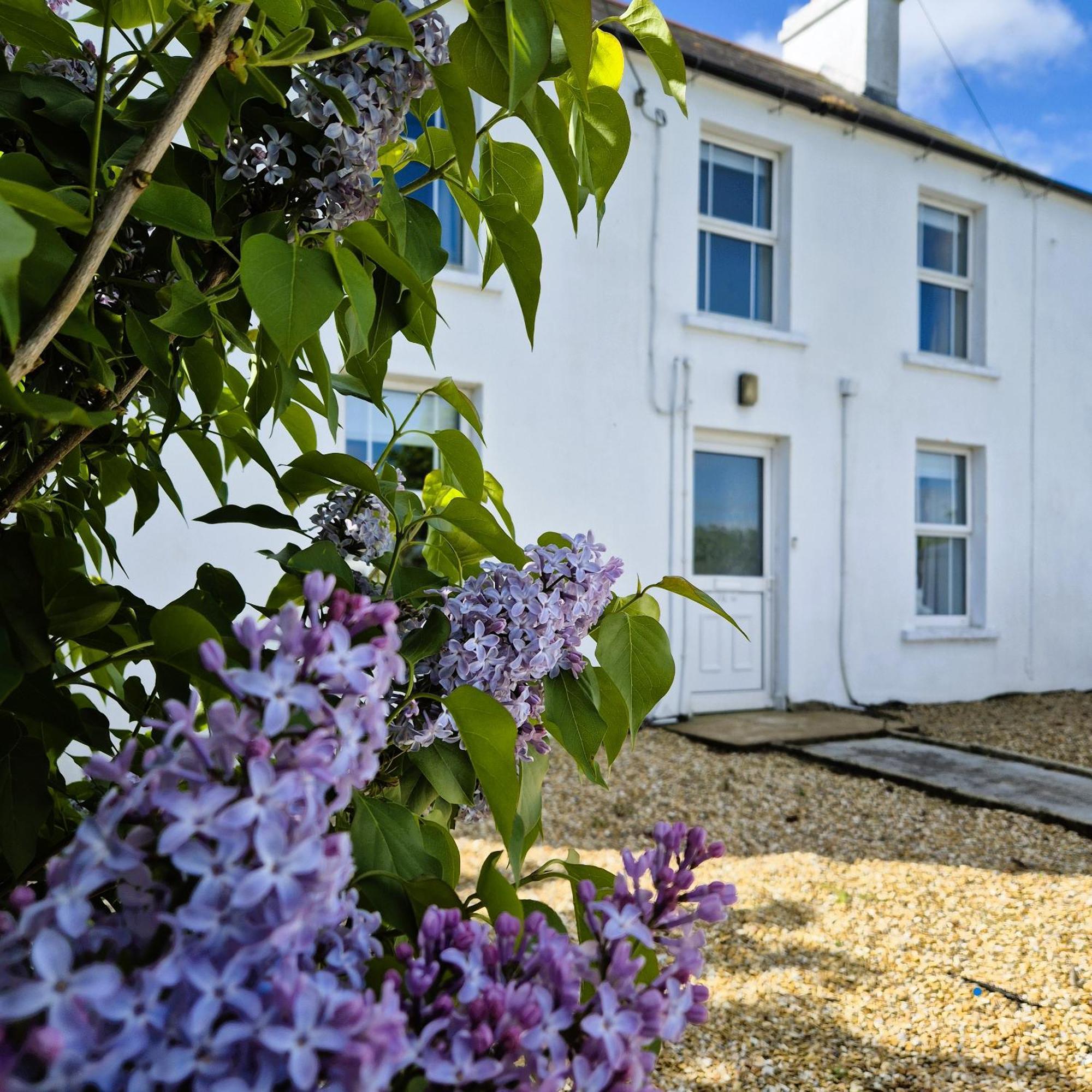 The Alpaca Farmhouse With Hot Tub And Alpaca Experience Included Dromara Buitenkant foto